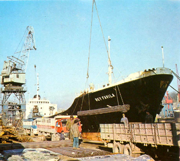 Rey Favila - Collection L. Santa Olaya Rey Favila - Collection L. Santa Olaya